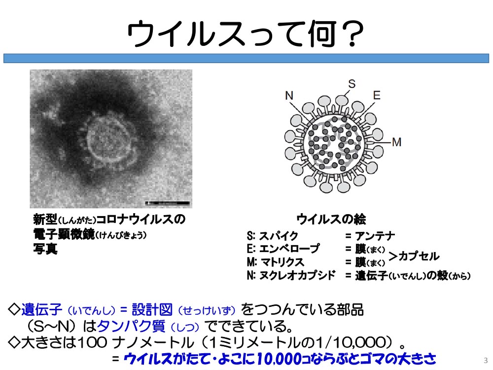 ウイルスって何? 遺伝子(いでんし)= 設計図(せっけいず)をつつんでいる部品