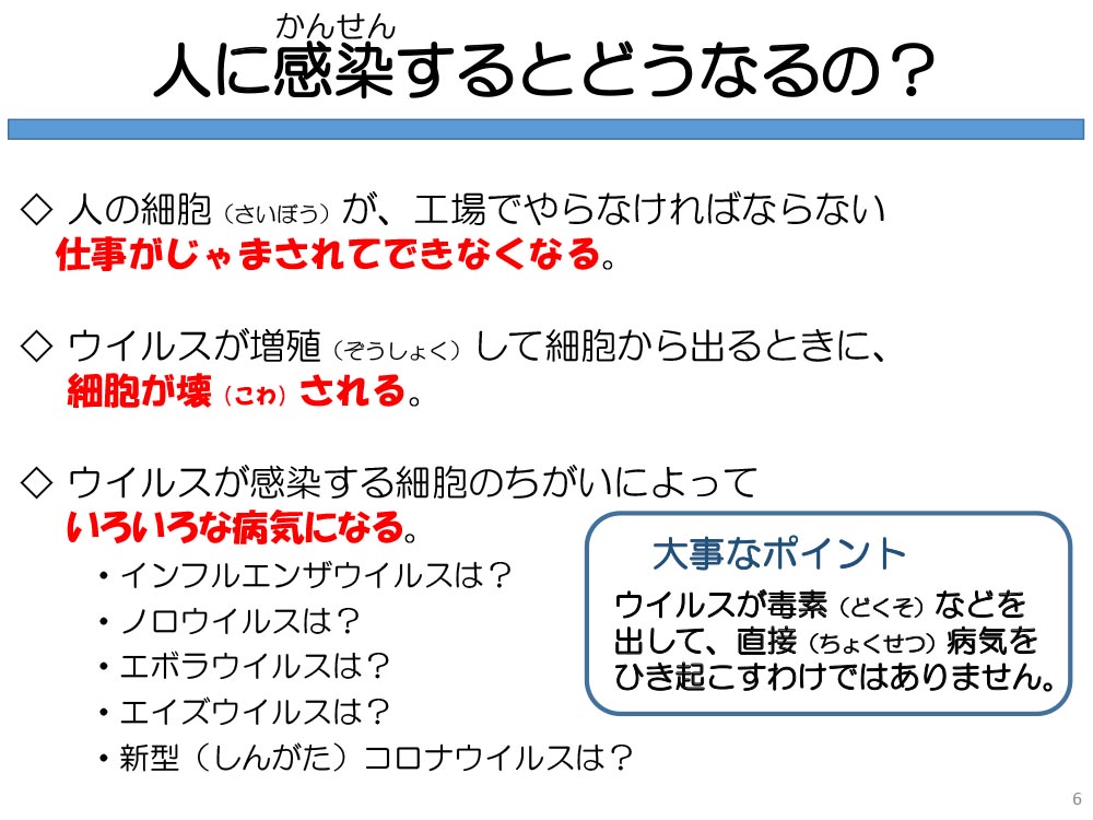 人に感染するとどうなるの?人の細胞(さいぼう)が、工場でやらなければならない仕事がじゃまされてできなくなる。◇ウイルスが増殖(ぞうしょく)して細胞から出るときに、細胞が壊(こわ)される。◇ウイルスが感染する細胞のちがいによっていろいろな病気になる。・インフルエンザウイルスは?・ノロウイルスは?・エボラウイルスは?・エイズウイルスは?・新型(しんがた)コロナウイルスは?大事なポイント「ウイルスが毒素(どくそ)などを出して、直接(ちょくせつ)病気をひき起こすわけではありません。」