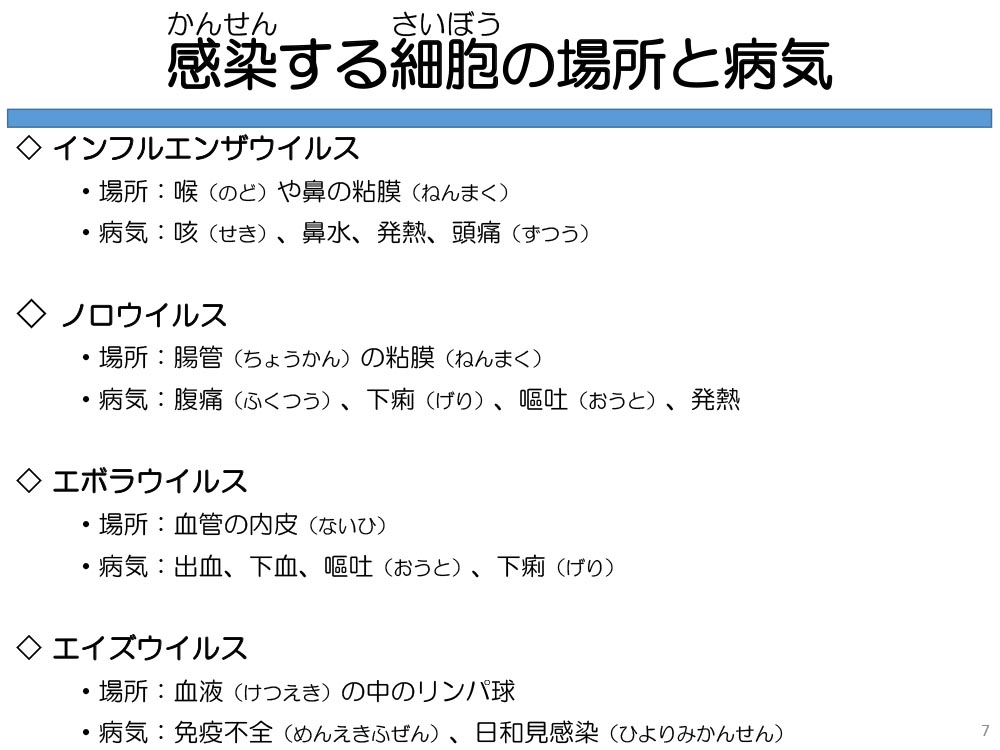 感染する細胞の場所と病気 ◇インフルエンザウイルス ・場所:喉(のど)や鼻の粘膜(ねんまく)・病気:咳(せき)、鼻水、発熱、頭痛(ずつう)◇ノロウイルス ・場所:腸管(ちょうかん)の粘膜(ねんまく) ・病気:腹痛(ふくつう)、下痢(げり)、嘔吐(おうと)、発熱 ◇エボラウイルス ・場所:血管の内皮(ないひ) ・病気:出血、下血、嘔吐(おうと)、下痢(げり) ◇エイズウイルス ・場所:血液(けつえき)の中のリンパ球 ・病気:免疫不全(めんえきふぜん)、日和見感染(ひよりみかんせん)