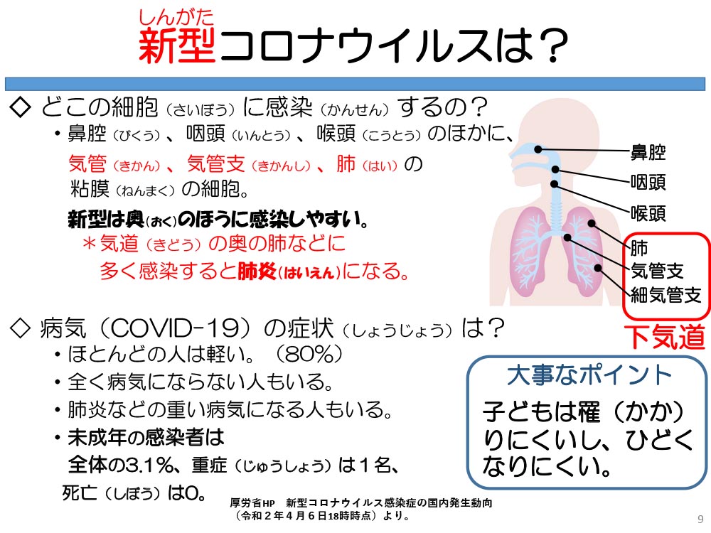 新型コロナウイルスは? どこの細胞(さいぼう)に感染(かんせん)するの? ・鼻腔(びくう)、咽頭(いんとう)、喉頭(こうとう)のほかに、気管(きかん)、気管支(きかんし)、肺(はい)の粘膜(ねんまく)の細胞。新型は奥(おく)のほうに感染しやすい。*気道(きどう)の奥の肺などに多く感染すると肺炎(はいえん)になる。◇病気(COVID-19)の症状(しょうじょう)は? ・ほとんどの人は軽い。(80%) ・全く病気にならない人もいる。 ・肺炎などの重い病気になる人もいる。 ・未成年の感染者は全体の3.1%、重症(じゅうしょう)は1名、死亡(しぼう)は0。 大事なポイント 子どもは罹(かか)りにくいし、ひどくなりにくい。