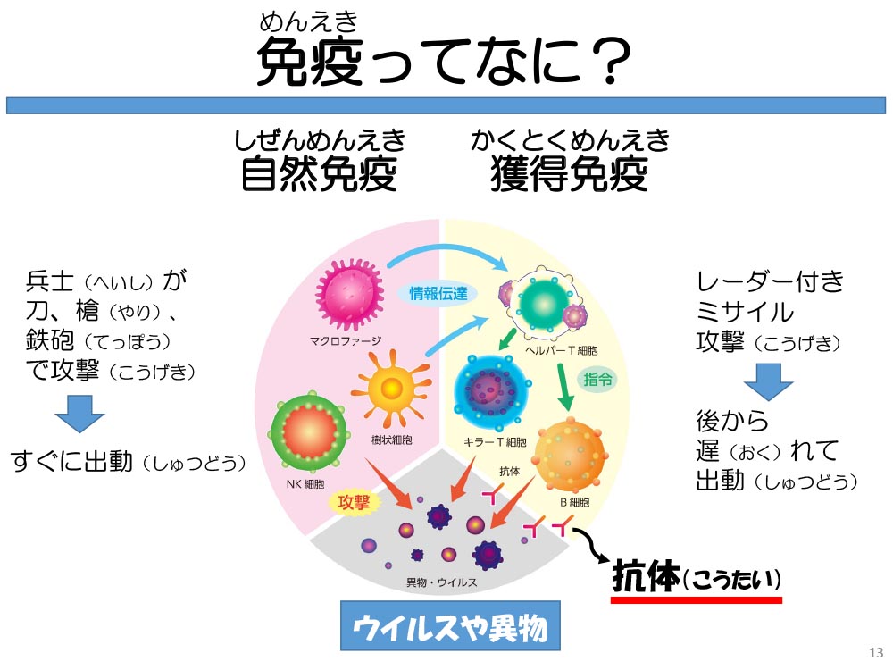 免疫ってなに? 自然免疫 獲得免疫