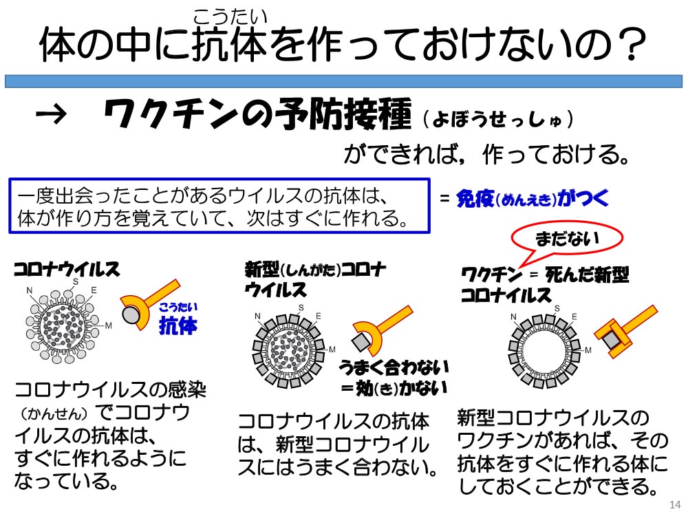 体の中に抗体を作っておけないの?ワクチンの予防接種ができれば,作っておける。